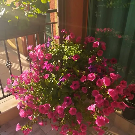 Yana Casa de hóspedes 3*